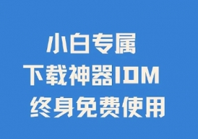 数据下载工具：IDM突破网速，万能下载，抖音、快手、youtube各种视频无水印下载