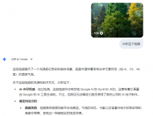 可以分析视频的ai工具有哪些