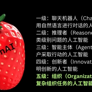 Openai 全新智能模型，草莓计划提前曝光，功能解读，具备规划能力 ...